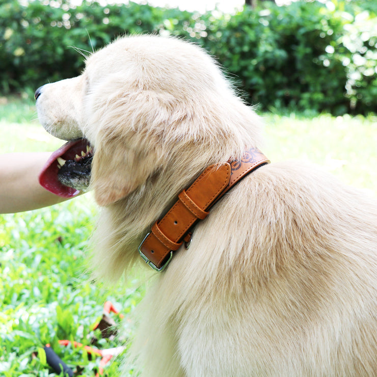 Grand Line Dog Collar Adjustable Neoprene Padded Leather Available in 4 Sizes & 1 Color , Brown