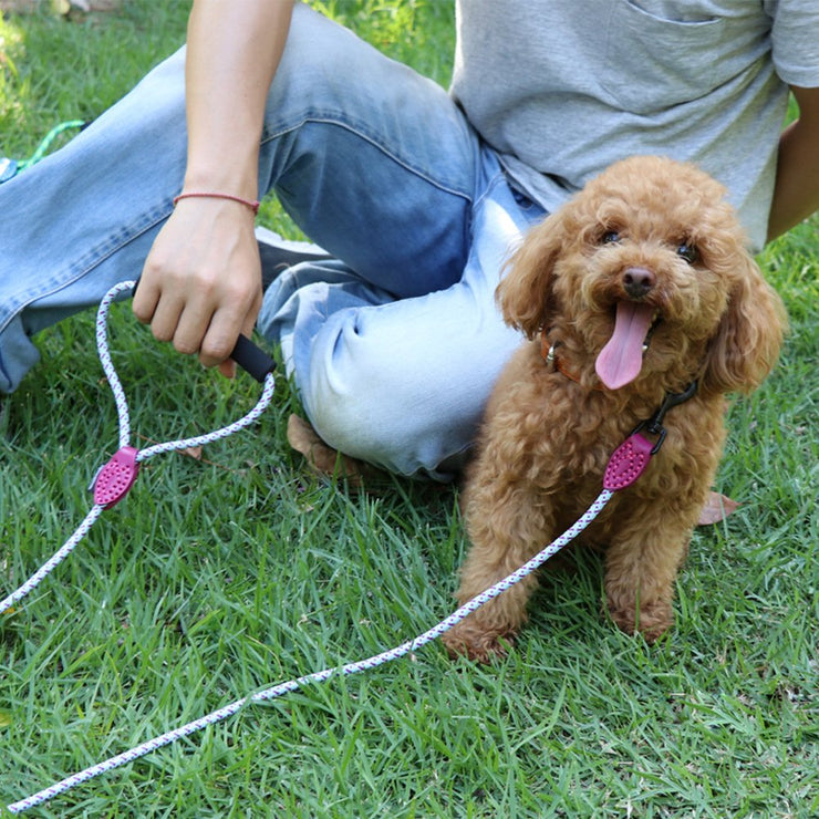 Grand Line Nylon Pet Leash Rope with Comfortable Padded Handle for Small, Medium Dogs and Cats - 1.5m Long, Blue